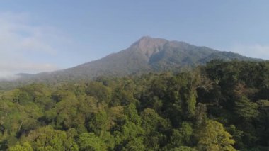 Tropikal manzara yağmur ormanları ve dağlar