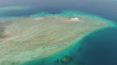 Denizdeki deniz manzaralı mercan resifi