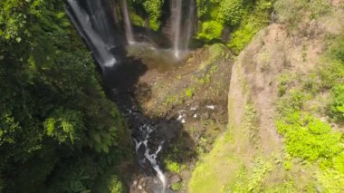 Güzel tropik şelale Bali, Endonezya.