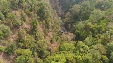 Tropikal manzara yağmur ormanları ve şelale