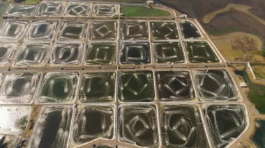 Endonezya 'da karides yetiştiriciliği