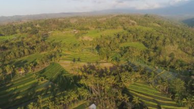 Endonezya 'da tarım arazisi olan tropikal araziler