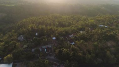 Endonezya 'da tarım arazisi olan pirinç tarlaları