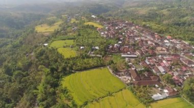 Endonezya 'da tarım arazisi olan tropikal araziler