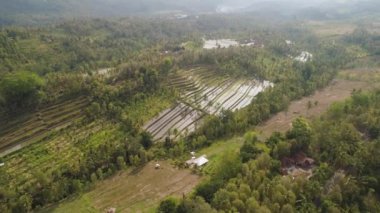 Endonezya 'da tarım arazisi olan tropikal araziler