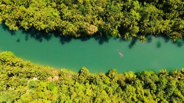 Ormandaki Loboc nehri. Bohol, Filipinler.