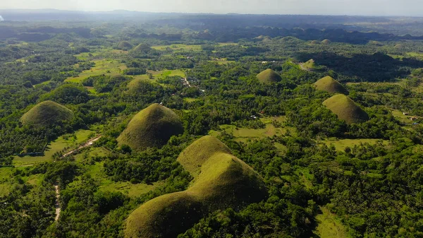 Çikolata tepeleri. Bohol Filipinleri.. — Stok fotoğraf