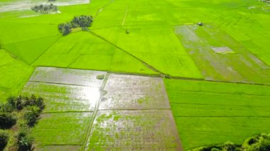 Asya 'da tarım arazisi.