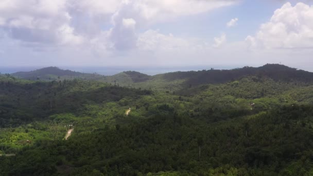 La forêt tropicale aux Philippines. — Video