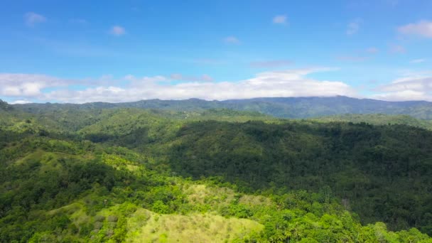 Filipinler 'deki Yağmur Ormanları. — Stok video