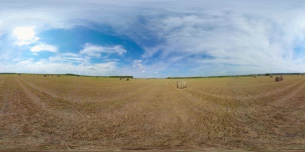 Fält med höstack efter skörd. Landsbygd. 360 graders sikt. — Stockvideo