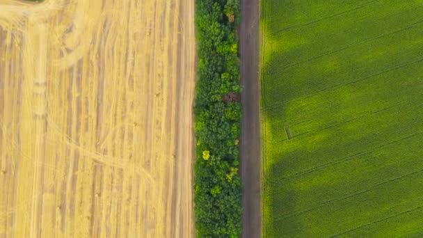 Ladang dengan tumpukan jerami setelah panen. Lanskap pedesaan. — Stok Video