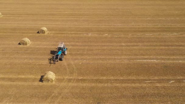 Fält med höstack efter skörd. Landsbygd. — Stockvideo