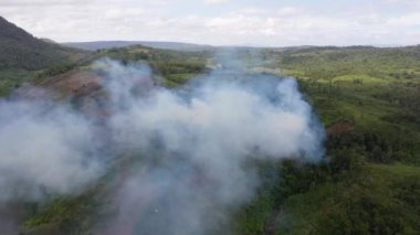 Çiftlik arazisinde insan yapımı orman yangını.