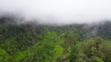 Yağmur ormanları ve bulutları olan dağlar. Filipinler, Mindanao