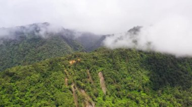 Yağmur ormanları ve bulutları olan dağlar. Filipinler, Mindanao