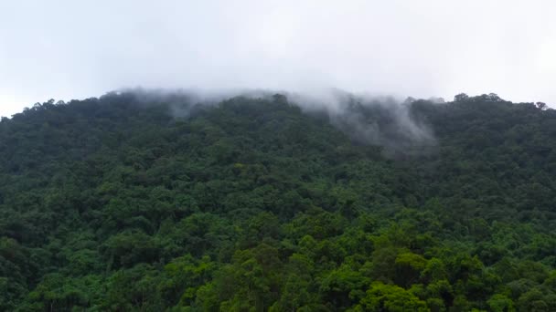 Le montagne sono coperte di foresta pluviale. Cime montane in un clima tropicale. — Video Stock
