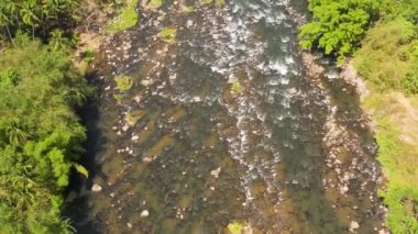 Tropiklerde bir nehir.