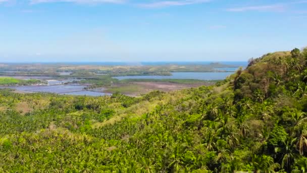 Paisaje agrícola en Asia. Mindanao, Filipinas — Vídeo de stock