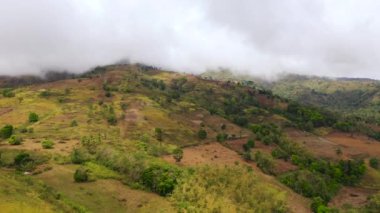 Filipinler 'de tarım arazisi.