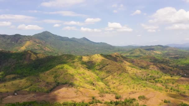 Terreno agricolo nelle Filippine. — Video Stock