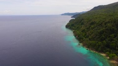 Tropik Samal adası. Mindanao, Filipinler
