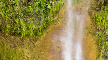 Güzel tropik şelale. Can-umantad Şelalesi, Bohol, Filipinler.