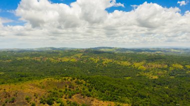 Tropikal bitki örtüsü olan tepeler ve dağlar. Bohol, Filipinler.