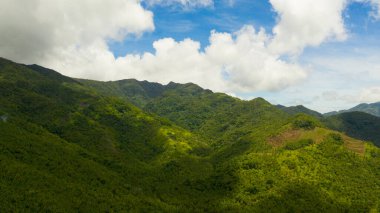 Dağ yağmur ormanları ve bulutlarla kaplı..