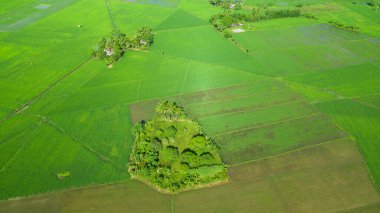 Asya 'da tarım arazisi.