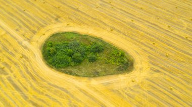 Hasattan sonra saman yığınlarıyla dolu bir tarla. Kırsal alan.