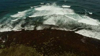 Mercan kayalıklarına çarpan dalgalar.