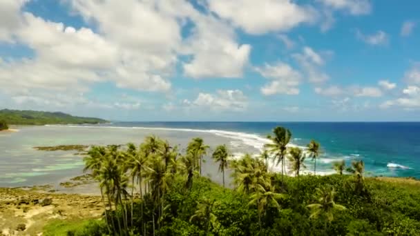 De kust van Siargao eiland bij eb. Tijdsverloop — Stockvideo