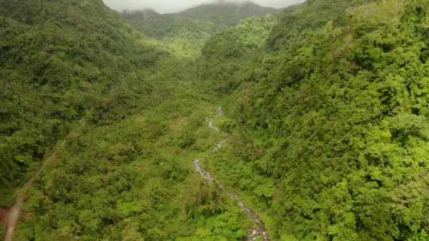 Montanhas cobertas de floresta tropical, Filipinas, Camiguin. — Vídeo de Stock