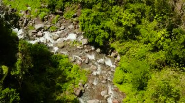 Yağmur ormanlarındaki dağ nehri, Filipinler, Camiguin.