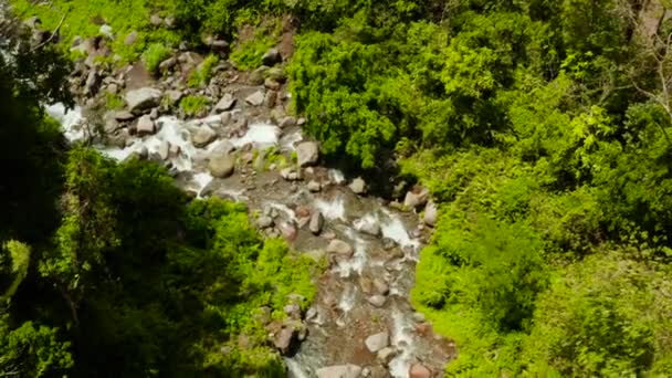 Yağmur ormanlarındaki dağ nehri, Filipinler, Camiguin. — Stok video