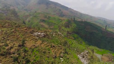 Dağlarda tarım arazileri olan tropikal manzaralar