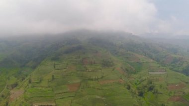 Dağlarda tarım arazileri olan tropikal manzaralar
