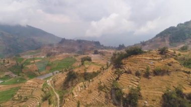 Dağlarda tarım arazileri olan tropikal manzaralar