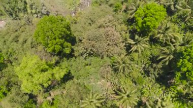 Şelale Coban Sewu Java Endonezya