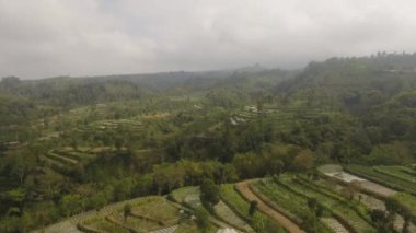 Dağlarda tarım arazileri olan tropikal manzaralar