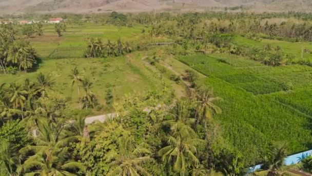 Сельскохозяйственные угодья Индонезии — стоковое видео