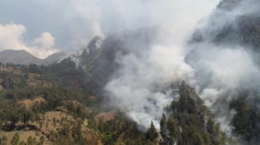 Dağlarda orman yangını