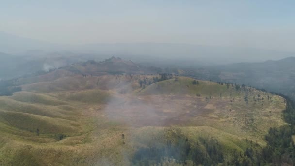 Incendio forestal en las montañas — Vídeos de Stock