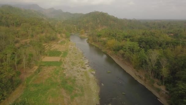 Paysage tropical rivière, terres fermières — Video