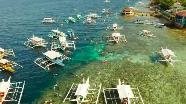 Nurkowanie na rafie koralowej, Moalboal, Filipiny — Wideo stockowe