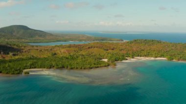 Tropik adanın kıyı şeridi. Balabac Adası, Palawan