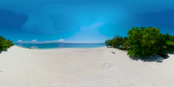 Тропический пляж с пальмами, 360 VR. — стоковое видео