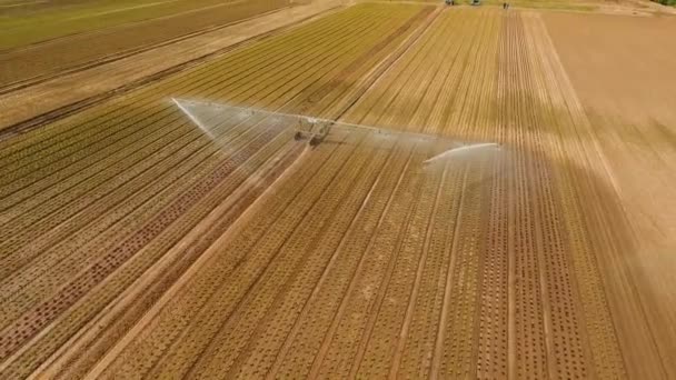 Zavlažovací systém na zemědělské půdě. — Stock video