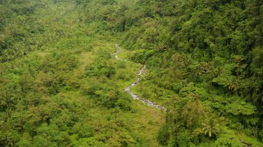 Dağ ormanlarında akan nehir, Filipinler, Camiguin.